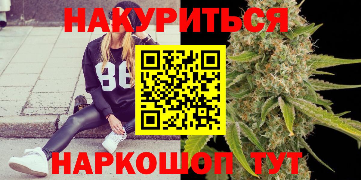 Марихуана тримм  Каннабис сатива  Вход с VPN  Хасавюрт  Канабис планчик  Бошки марихуана Ganja 